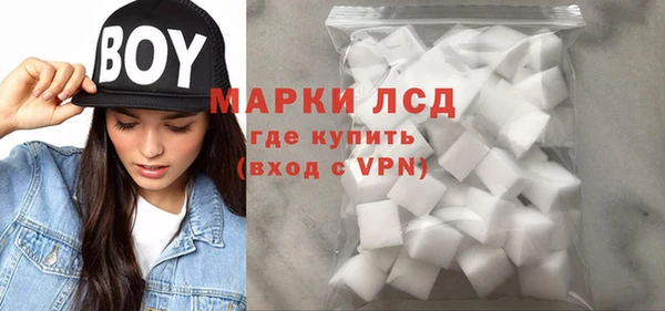мдпв Вяземский