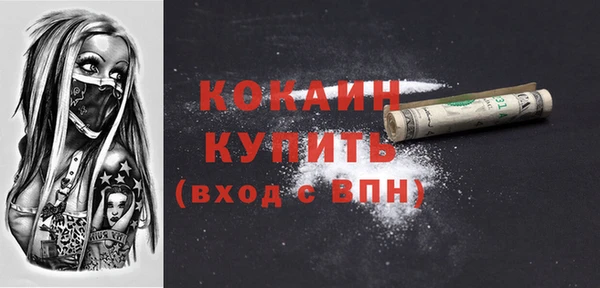 мдпв Вяземский