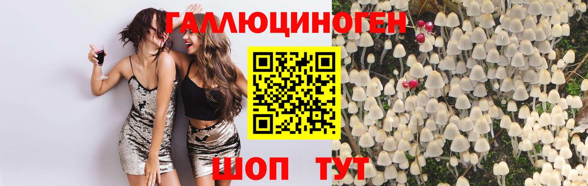 Галлюциногенные грибы прущие грибы Назарово